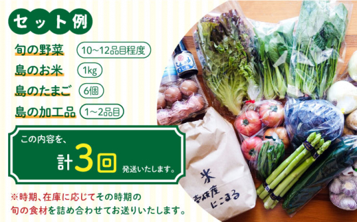 【全3回定期便】壱岐産食材詰め合わせBOX「野菜」 [JBF015] 63000 63000円
