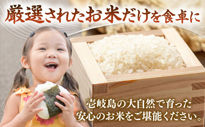 壱岐産米 こしひかり 5kg《壱岐市》【壱岐フードファクトリー】 [JDW061]
