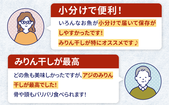 【全2回定期便】旬の海産物セットＡ《壱岐市》【朝市　マルミ海産物】サンマ  丸干し アジ みりん干し  魚 [JCY022]