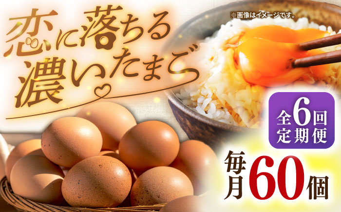 【全6回定期便】特選 素直な恋たまご 60個 《壱岐市》【しまのたまご屋さん】 [JAP004] 卵 たまご 鶏卵 玉子 ギフト 国産 もみじ 卵かけご飯 たまごかけご飯 のし プレゼント ギフト 定期便 78000 78000円