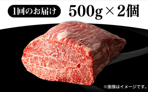 【全12回定期便】 壱岐牛 モモブロック 1kg（500g×2枚）［化粧箱無し]《壱岐市》【株式会社イチヤマ】[JFE048] 定期便 赤身 焼肉 焼き肉 ブロック肉 塊肉 肉 牛肉 モモ ブロック ステーキ BBQ 528000 528000円