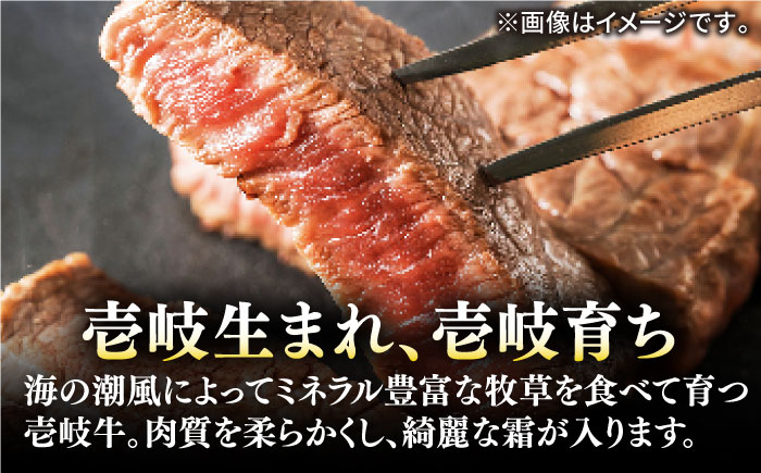 【全3回定期便】壱岐牛 A5ランク ギフトセット《壱岐市》【KRAZY MEAT】[JER043] ステーキ 赤身 牛肉 肉 贈答 プレゼント ギフト ハンバーグ ステーキ ジャーキー 詰め合わせ 120000 120000円 12万円