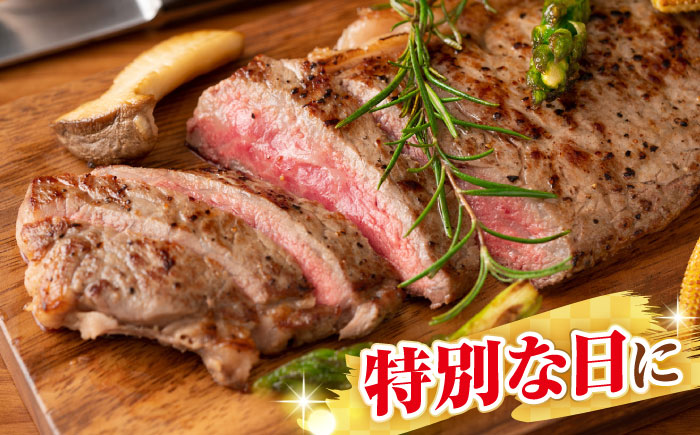 【A4〜A5ランク】長崎和牛 サーロインステーキ 500g（250g×2枚）《壱岐市》【株式会社MEAT PLUS】 肉 牛肉 黒毛和牛 サーロイン ステーキ ご褒美 ギフト 贈答用 ご褒美 冷凍配送 A4 A5 [JGH024]