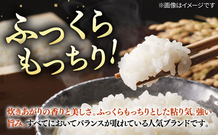 壱岐産米 こしひかり 5kg《壱岐市》【壱岐フードファクトリー】 [JDW061]