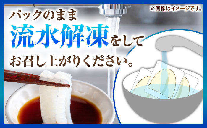 【冷凍】剣先イカ 刺身用 1kg　剣先烏賊 《壱岐市》 【一支國屋】海鮮 烏賊 イカ いか 刺身 刺し身 お刺身 剣先イカ 冷凍配送 [JCC021]