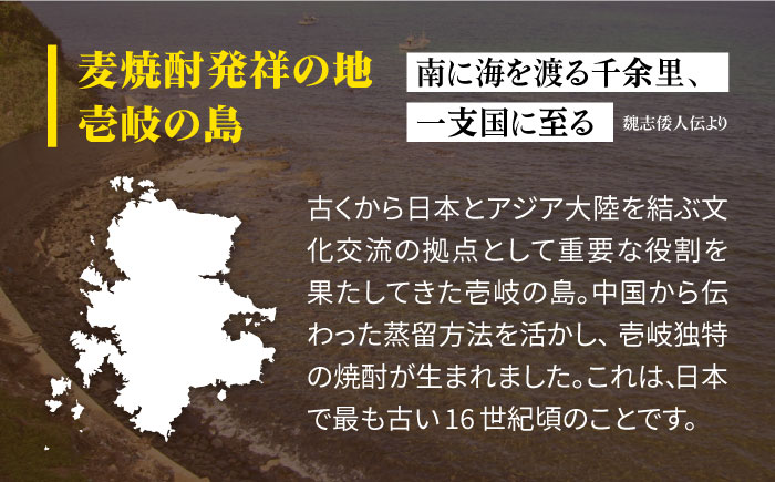 【全2回定期便】 麦焼酎 壱岐の華 25度 1800ml 紙パック 6本 《壱岐市》【天下御免】 むぎ焼酎 焼酎 麦 酒 お酒 [JDB383]