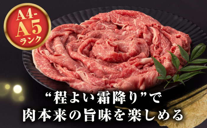 【全6回定期便】【A4〜A5ランク】長崎和牛 モモスライス 400g（しゃぶしゃぶ・すき焼き用）《壱岐市》【野中精肉店】 牛 牛肉 和牛 国産 長崎和牛 霜降り しゃぶしゃぶ すき焼用 モモ ギフト 贈答用 冷凍配送 A4 A5 [JGC045]