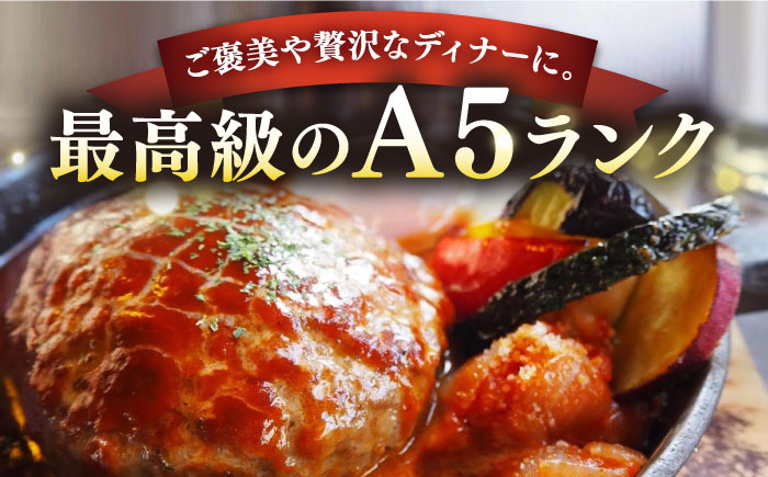 【全12回定期便】壱岐牛 A5ランク ギフトセット《壱岐市》【KRAZY MEAT】[JER045] ステーキ 赤身 牛肉 肉 贈答 プレゼント ギフト ハンバーグ ステーキ 詰め合わせ 480000 480000円 48万円