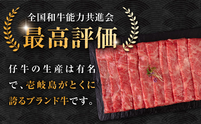 【全6回定期便】壱岐牛 ロース 550g（すき焼き・しゃぶしゃぶ）《壱岐市》【中津留】[JFS064] サーロイン リブロース 肩ロース すき焼き しゃぶしゃぶ 鍋 牛肉 肉 牛 定期便 192000 192000円