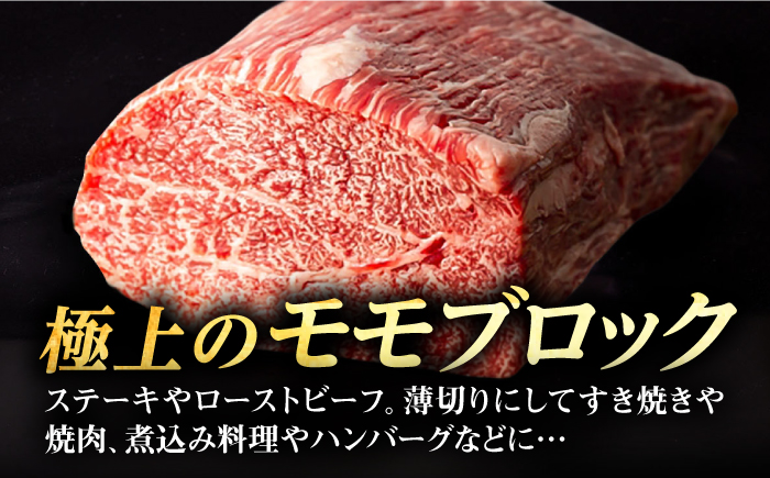 【全2回定期便】 壱岐牛 モモブロック 500g［化粧箱付き］《壱岐市》【株式会社イチヤマ】 肉 牛肉 モモ ブロック ステーキ BBQ [JFE128]