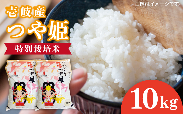 壱岐産 つや姫 10kg 《壱岐市》【壱岐市農業協同組合】 米 お米 ご飯 お弁当 常温発送 [JBO143]