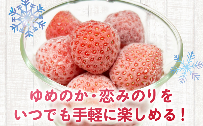 冷凍いちご 1kg 『ゆめ恋フローズンセット』《壱岐市》【蒼花】 産地直送 冷凍配送 いちご 苺 フルーツ フローズン 朝食 ゆめのか 恋みのり [JEO005]