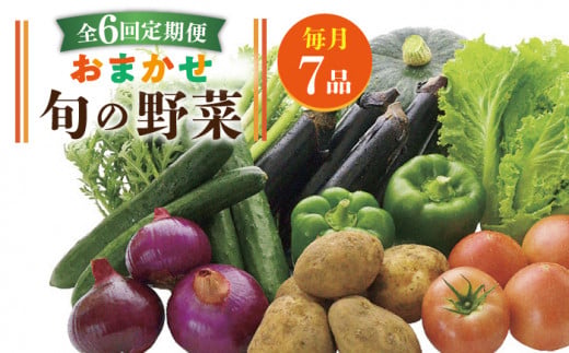 【全6回定期便】旬の野菜セット 7品 《壱岐市》【壱岐市農業協同組合】[JBO045] 野菜 ベジタブル 食材 詰め合わせ 産地直送 野菜セット グルメ 春 夏 秋 冬 旬 サラダ 冷蔵 夏野菜 スムージー 定期便   60000 60000円 6万円