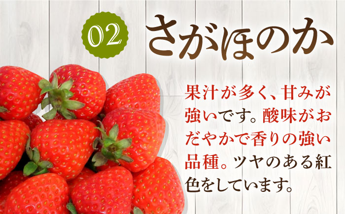 【全3回定期便】《2025年2月3月4月お届け》 いちご イチゴ 1kg （250g×4パック）恋みのり・さがほのかミックス 壱岐島産 【Strawberry Gang】 [JEM002] 苺 いちご イチゴ 果物 フルーツ 定期便 食べ比べ ケーキ ジュース スムージー 39000 39000円 