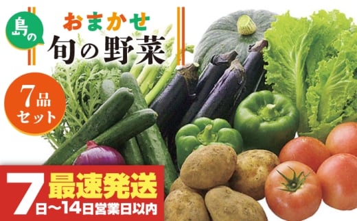 旬の野菜 7品セット [壱岐市][壱岐市農業協同組合][JBO001] 野菜 ベジタブル 食材 詰め合わせ 産地直送 野菜セット グルメ 春 夏 秋 冬 旬 サラダ 冷蔵 夏野菜 スムージー 10000 10000円 1万円