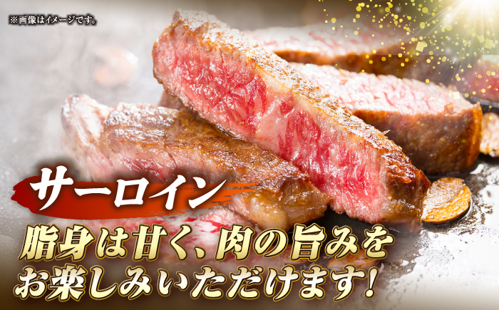 【全6回定期便】長崎和牛 サーロイン ヒレ ステーキセット 各2枚 《壱岐市》【KRAZY MEAT】 A5 A4 冷凍 和牛 肉 牛肉 BBQ 詰め合わせ 贈り物 [JER138]