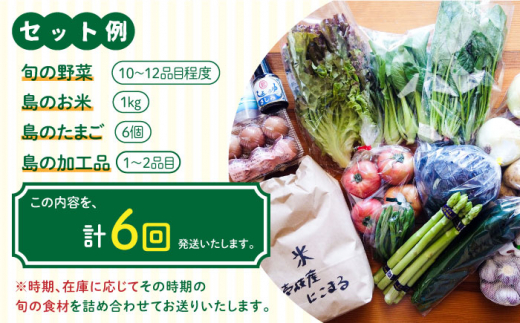 【全6回定期便】壱岐産食材詰め合わせBOX「野菜」 [JBF016] 132000 132000円