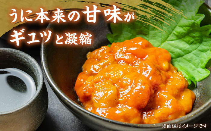 【先行予約】壱岐産 生うに 60g×1本【2026年5月以降順次発送】《壱岐市》【馬渡水産】 生ウニ うに ウニ 雲丹 紫うに ムラサキウニ 海鮮 希少 冷蔵配送 [JAQ005]