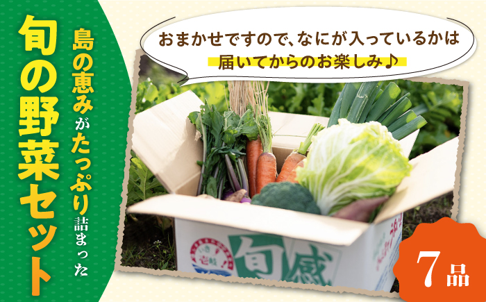 【全3回定期便】旬の野菜 7品《壱岐市》【壱岐市農業協同組合】 [JBO044] 野菜 やさい 旬 季節 セット 詰め合わせ 産地直送 新鮮 サラダ スムージー 定期便 27000 27000円