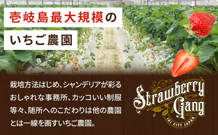 ゆめのか 約250g×4パック《壱岐市》【Strawberry Gang】 [JEM001] いちご イチゴ 苺 果物 フルーツ スムージー 15000 15000円