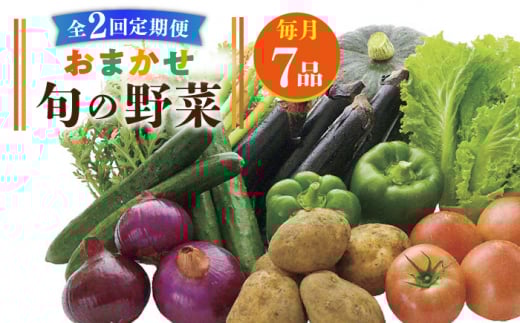 【全2回定期便】旬の野菜セット 7品《壱岐市》【壱岐市農業協同組合】季節 健康 栄養 やさい 詰め合わせ [JBO131]   20000 20000円 2万円