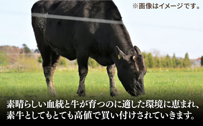 【全6回定期便】極上 壱岐牛 A5ランク 希少部位 赤身ステーキ 200g×4枚（雌）部位おまかせ《壱岐市》【KRAZY MEAT】 [JER010] ステーキ 赤身 希少部位 牛肉 肉 ランプ 300000 300000円 30万円