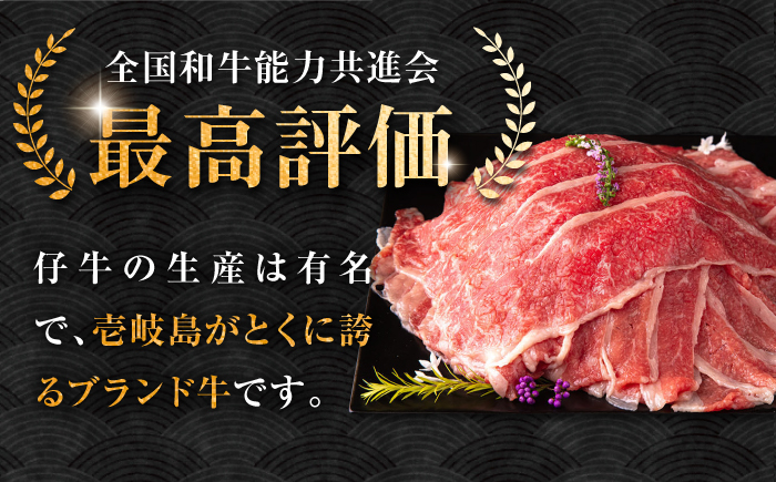 【全2回定期便】壱岐牛 ブリスケ うす切り 500g《壱岐市》【中津留】 すき焼き しゃぶしゃぶ 牛肉 [JFS083]