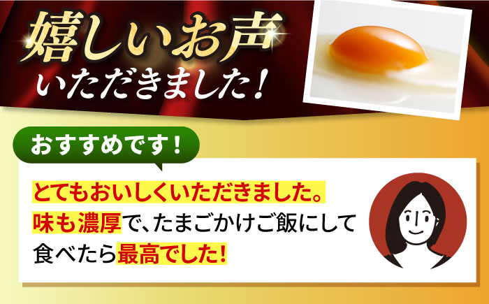 【全2回定期便】特選 素直な恋たまご 30個 《壱岐市》【しまのたまご屋さん】 [JAP016] 卵 たまご 鶏卵 玉子 ギフト 国産 卵かけご飯 たまごかけご飯 のし 定期便 [JAP018]