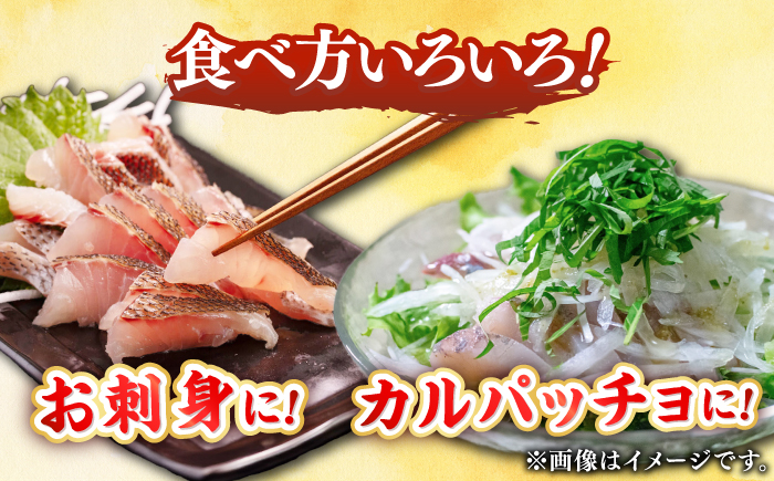 【全12回定期便】 【勝本漁港直送】壱岐島の刺身盛りセット ≪壱岐市≫【あかりや】 冷凍配送 刺身 小分け 産地直送   お刺身 刺し身 寿司 海鮮 [JFO008] 100000 100000円 10万円