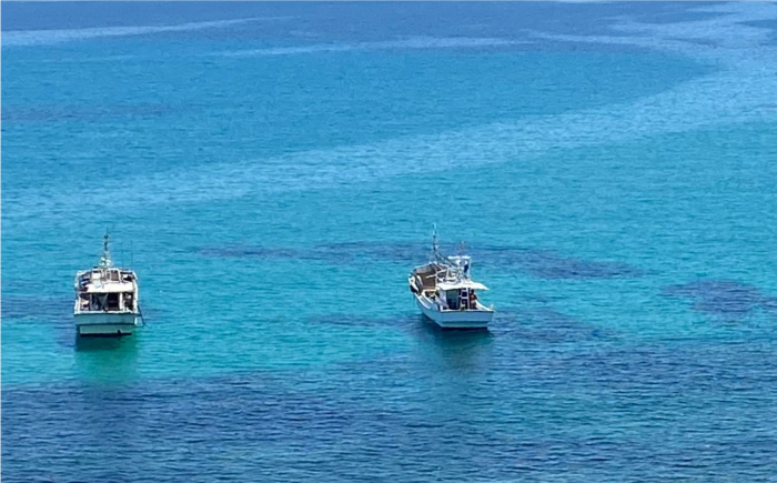 紫うに 60g×2本《壱岐市》【メイリ・キッチン】[JBD005] 紫うに 生うに ウニ ムラサキウニ うに 雲丹 海産物 海鮮 ご飯のお供 ごはんのおとも 瓶詰 瓶 27000 27000円