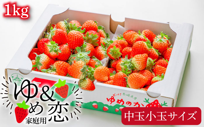 家庭用 バラ詰め イチゴ 1kg （ゆめのか・恋みのり）《壱岐市》【蒼花】[JEO002-CP02] いちご イチゴ 苺 フルーツ 果物 スムージー ジャム ゆめのか 恋みのり セット 食べ比べ 冷蔵 8000 8000円