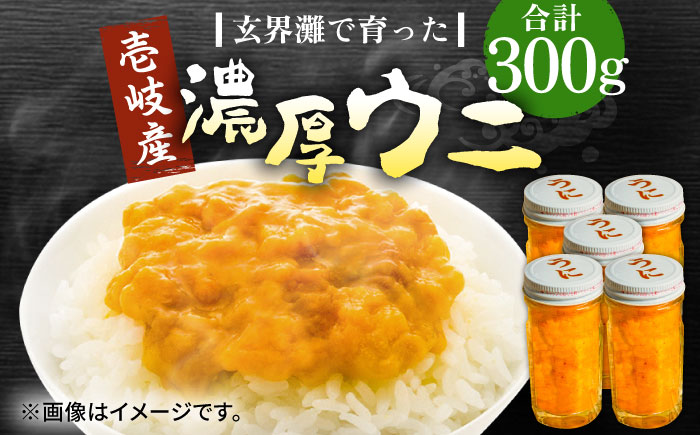 壱岐産 濃厚 ウニ 60g ×5本《壱岐市》【合同会社塚元】ムラサキウニ 海産物 海鮮 うに 雲丹 珍味 [JDR041]