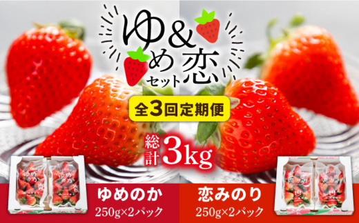 【先行予約受付中】【全3回定期便】《2月〜4月：毎月発送！》イチゴ1kg 食べ比べ 「ゆめ恋セット（ゆめのか・恋みのり ）」（250g×4パック）《壱岐市》【蒼花】 [JEO003] いちご イチゴ 苺 フルーツ 果物 ゆめのか 恋みのり セット 食べ比べ 冷蔵 あまおう 42000 42000円