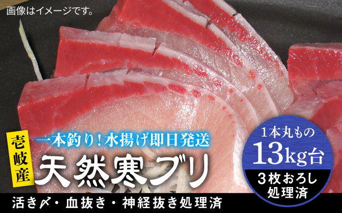 壱岐島産天然寒ブリ（13ｷﾛ台・3枚おろし） [JBS112]