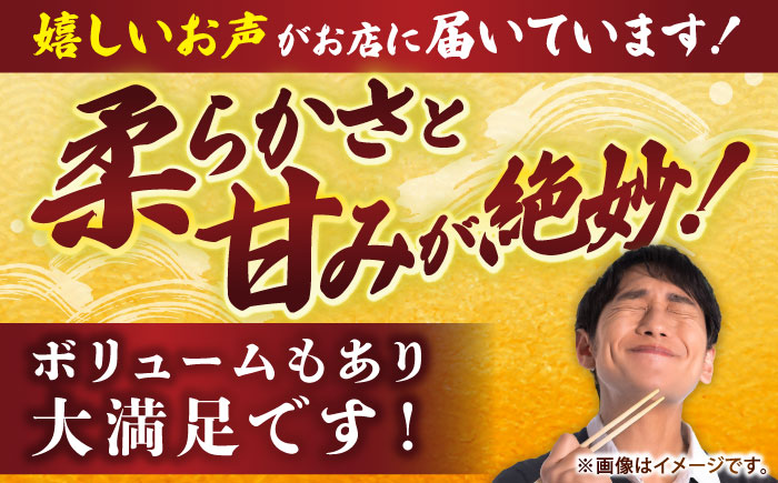【冷凍】アオリイカ 刺身用 1kg　水烏賊 《壱岐市》 【一支國屋】海鮮 烏賊 イカ いか 刺身 刺し身 お刺身 アオリイカ 冷凍配送 [JCC020]