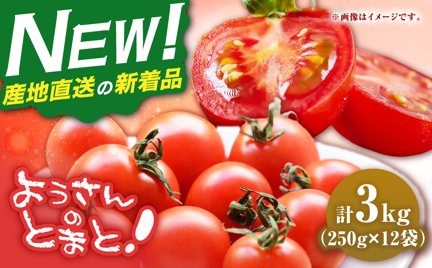 【先行予約】壱岐市産 ミニトマト 3kg（250g×12袋） 【2026年8月下旬以降順次発送】《壱岐市》【ようさんのとまと】 野菜 トマト とまと ミニトマト 国産 旬 [JHC002]