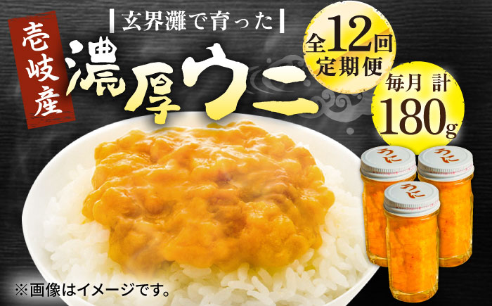 【全12回定期便】壱岐産 濃厚 ウニ 60g ×3本《壱岐市》【合同会社塚元】ムラサキウニ 海産物 海鮮 うに 雲丹 珍味 [JDR040] 500000 500000円 50万円