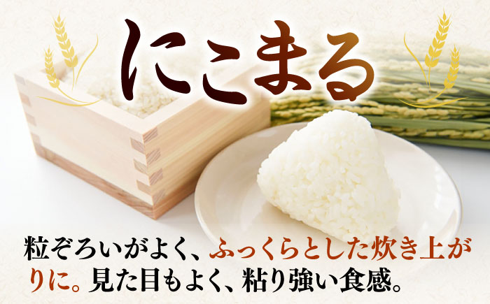 にこまる 10kg [JCZ017] 米 お米 ごはん ご飯 にこまる 27000 27000円