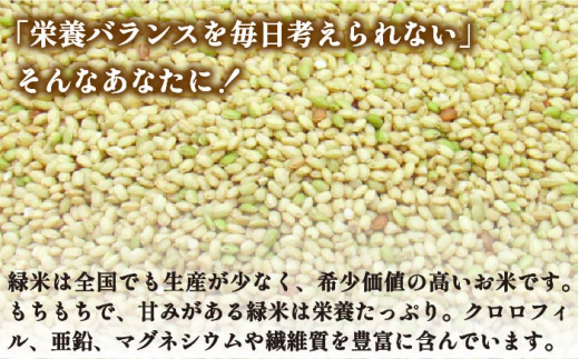 【予約受付中】 古代米 緑米 3kg （1kg入り × 3袋）壱岐島の古代米 原の辻遺跡《壱岐市》【天下御免】 [JDB124] 13000 13000円