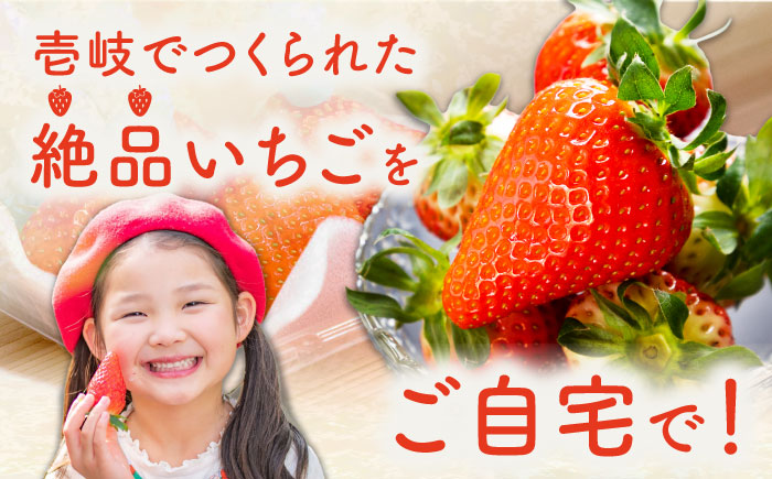 家庭用 バラ詰め イチゴ 1kg （ゆめのか・恋みのり）《壱岐市》【蒼花】[JEO002] いちご イチゴ 苺 フルーツ 果物 スムージー ジャム ゆめのか 恋みのり セット 食べ比べ 冷蔵 10000 10000円