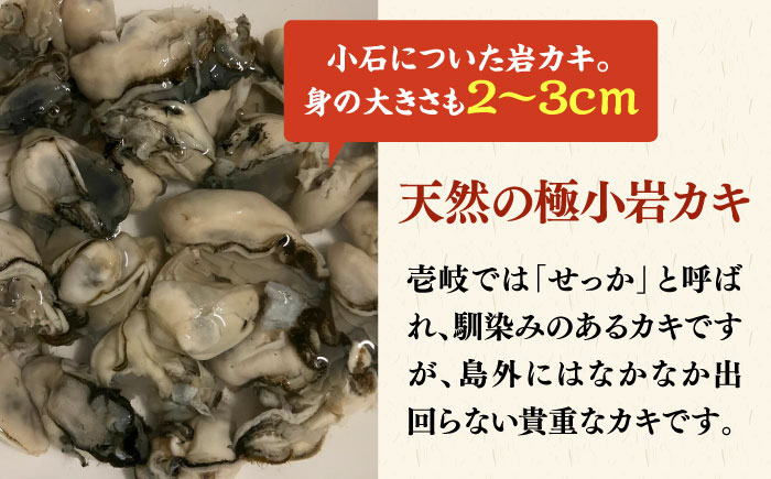 季節限定】 天然 岩カキ 100g×2パック（生食用）《壱岐市》【鈴の海庭