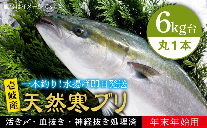 【お歳暮対象】【年内発送】【お正月用】壱岐島産天然寒ブリ（6ｷﾛ台・丸もの） [JBS126]