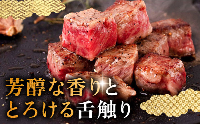 壱岐牛 サーロイン ブロック 1.5kg 《壱岐市》【中津留】[JFS003] サーロイン ステーキ 焼肉 BBQ 牛肉 肉 サーロインステーキ 赤身 焼き肉 ブロック肉 ブロック イベント 97000 97000円