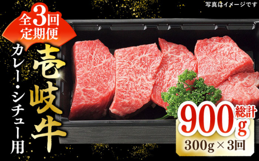 【全3回定期便】 特選 壱岐牛 すね肉 300g（カレー・シチュー用）《壱岐市》【太陽商事】[JDL079] 肉 牛肉 黒毛和牛 ブランド牛 カレー シチュー 赤身 チマキ 煮込み ブロック 国産 九州 お祝い 27000 27000円