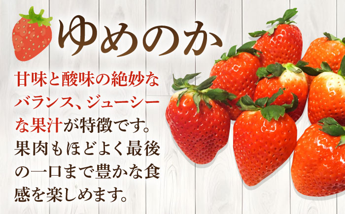 【訳あり/簡易包装】ゆめのか 約250g×4パック《壱岐市》【Strawberry Gang】 [JEM003-CP02] イチゴ 苺 果物 フルーツ スムージー 10000 10000円 冷蔵配送 訳あり