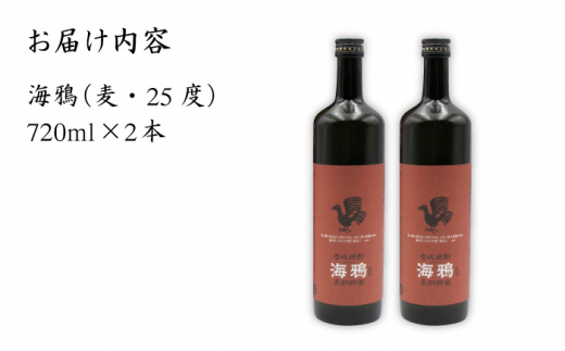 【全6回 定期便 】麦焼酎 海鴉 25度 720ml 2本入りセット 《 壱岐市 》【天下御免】[JDB111] 100000 100000円