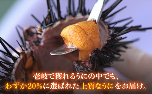 生うに 120g ( 60g × 2本 ) 老舗の厳選 おさだの生うに《壱岐市》【長田商店】[JAO001] 