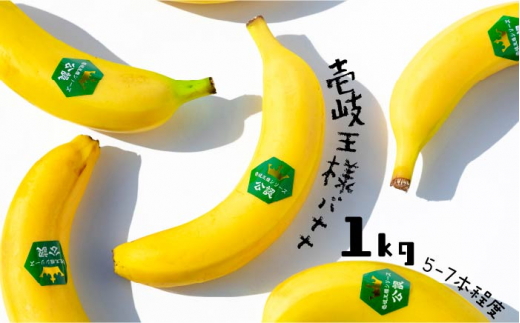 壱岐王様バナナ 1kg 《壱岐市》【株式会社コスモファーム】[JEL001] 皮ごと バナナ 果物 フルーツ 甘い 34000 34000円 