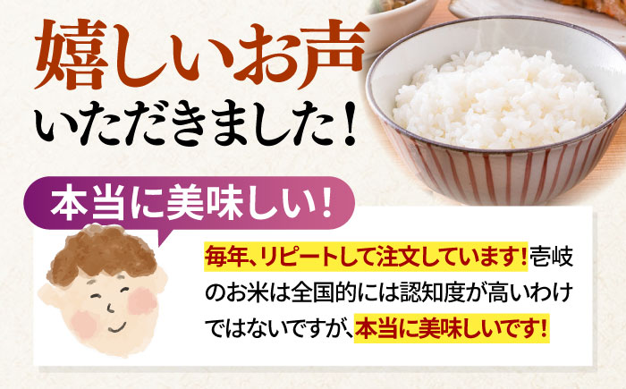 【R7年度産】こしひかり 10kg 《壱岐市》 【長米壱岐営業所】[JCZ019] 米 お米 白米 精米 ごはん ご飯 こしひかり コシヒカリ 30000 30000円