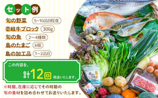 【全12回定期便】壱岐産食材詰め合わせBOX「野菜と魚と壱岐牛」 [JBF032] 壱岐牛 赤身 詰め合わせ 野菜 卵 鮮魚 セット 480000 480000円 48万円